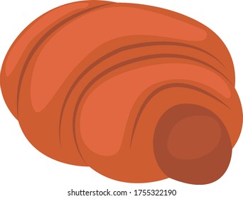 Sweet potato, illustration, vector on white background