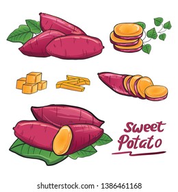 Sweet Potato Illustration Vector In Purple Root Color.