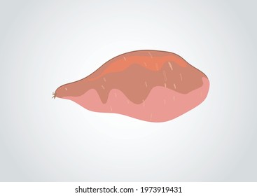 Sweet potato in isolated background. Good agriculture ad concept. healthy food. Japanese cuisine