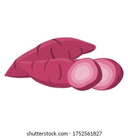 Sweet potato on white background. Vector illustration