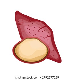 sweet potato on white background vector illustration design