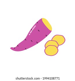 sweet potato on white background. vector illustration