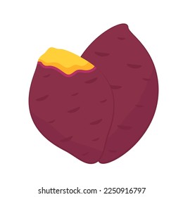 Sweet potato. Organic healthy vegetable. Fresh natural root. Made in vector cartoon flat style. Roasted sweet potato. Japanese Sweet potato.