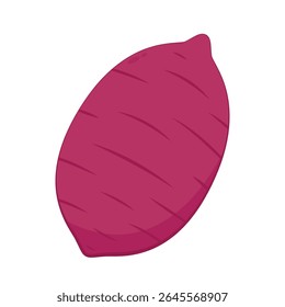 Sweet potato. Organic healthy vegetable. Fresh natural root. Made in vector cartoon flat style. Roasted sweet potato. Japanese Sweet potato.