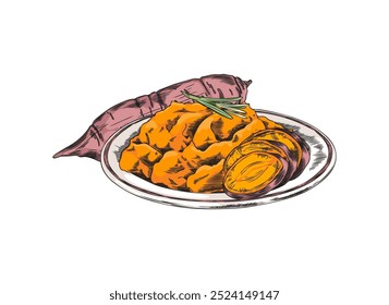 Prato de purê de batata doce em um esboço de cor de vetor de placa. Ilustração desenhada à mão de inhame maduro laranja com menu alecrim. Culinária de batatas de legumes. Planta agrícola, alimento orgânico saudável natural