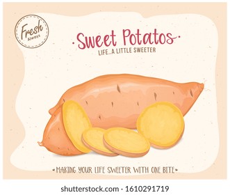 A sweet Potato Root vegetable with Sweet potato round slices vector illustration
