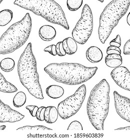 Sweet potato seamless pattern, sketch illustration. Batatas hand drawn vector illustration. Farm market food. Raw sweet potatoes hand drawn. Packaging design.