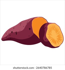 Sweet potato slice and half in vintage engraving style. Color vector illustration isolated on white, ideal for rustic food and harvest themes.