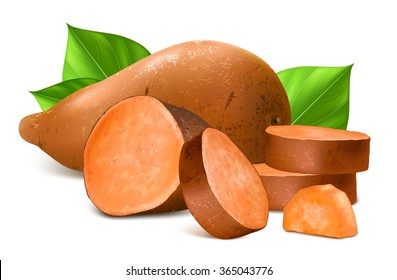 Sweet potato with slices and leaves. Fully editable handmade mesh. Vector illustration.