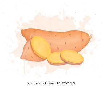 Sweet Potato With Slices Of Sweet Potato Vector Illustration