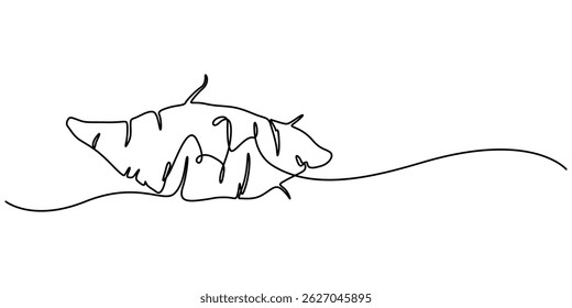 Sweet potato tuber vector illustration. One line art drawing with lettering organic sweet potato, Single continuous line drawing whole healthy organic sweet potato for orchard logo identity. Fresh pro