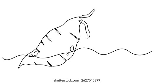 Sweet potato tuber vector illustration. One line art drawing with lettering organic sweet potato, Single continuous line drawing whole healthy organic sweet potato for orchard logo identity. Fresh pro
