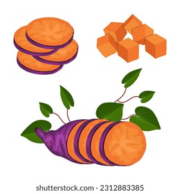 sweet potato vector clip art element, cassava, ubi jalar