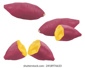 Sweet potato vector illustration autumn taste