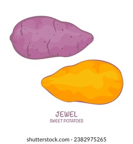 Sweet potato vector illustration Jewel isolated Easy to edit white background.