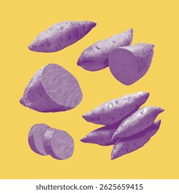 Sweet potato, sweet potato vector, sweet potato illustration, line drawing on yellow background.
