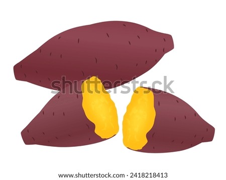 sweet potato vector illustration material