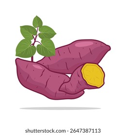 Sweet Potato Vector Illustration – Purple Yam Root with Leaf – Healthy Organic Food Design
