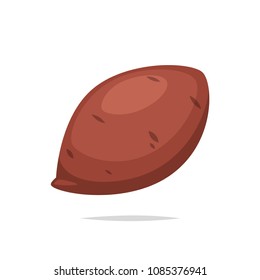 Sweet potato vector isolated