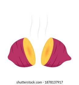 Sweet Potato vector.  Sweet Potato on white background.