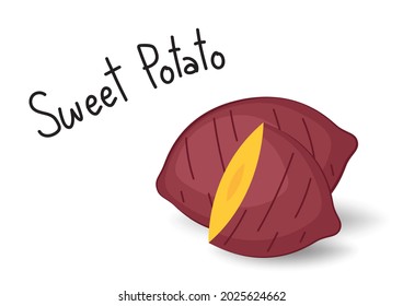 Sweet Potato vector.  Sweet Potato on white background.
