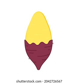 Vector de batata dulce.  Dulce Papa sobre fondo blanco.
