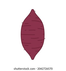 Sweet Potato vector.  Sweet Potato on white background.
