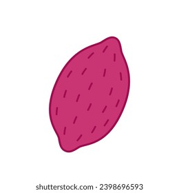 Sweet Potato vector.  Sweet Potato on white background.