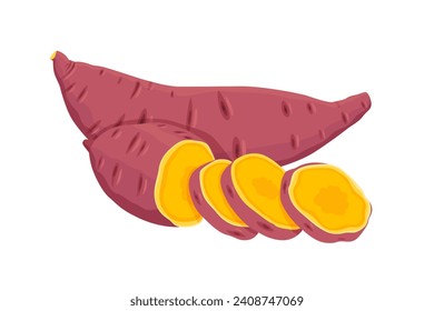 Sweet Potato vector. Sweet Potato on white background.