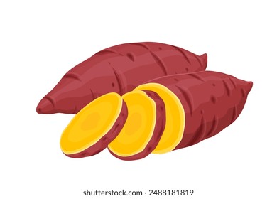 Sweet Potato vector. Sweet Potato on white background.