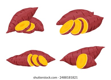 Sweet Potato vector. Sweet Potato on white background.