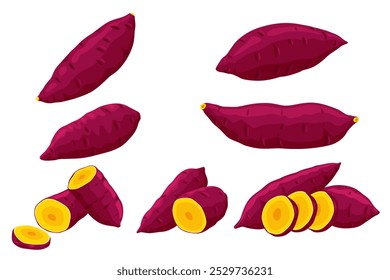 Vector de batata. Patata dulce sobre fondo blanco.	