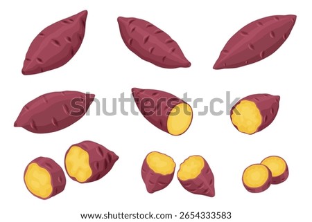 Sweet Potato vector. Sweet Potato on white background.
