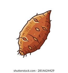 Sweet potato vegetable root closeup
