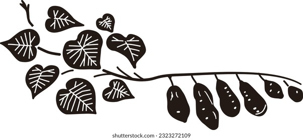 Sweet potato vine illustration design (black)