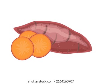 Sweet potato, whole and slices, flat style vector illustration isolated on white background