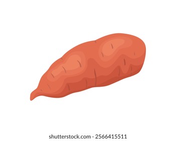 Sweet potato yam. Batatas isolated on white background. Vector cartoon illustration. 