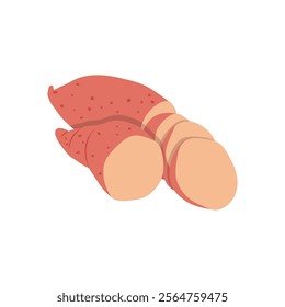 Sweet Potatoes , Autumn Isolated Vector Illustration