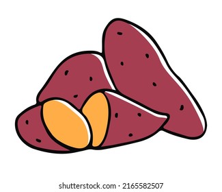 Sweet potatoes in doodle style. Color image on a white background. Vegetables. Vector illustration