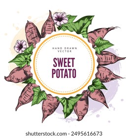 Sweet potatoes, flowers and leaves vector round label design. Hand drawn illustration of ripe yam whole and slice, farm vegetable batatas. Agriculture tuber plant, natural healthy food