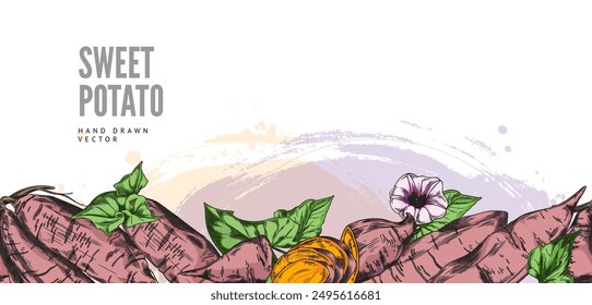 Sweet potatoes, flowers and leaves vector pattern border design. Hand drawn illustration of ripe yam whole and slice, farm vegetable batatas. Agriculture tuber plant, natural healthy food