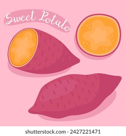 Sweet potatoes. Fresh organic vegetable. Sweet potato with slices. Batata. Ingredient for cooking, dessert. Vector illustration. 