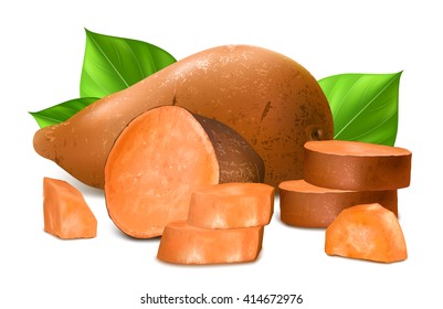 Sweet potatoes. Fully editable handmade mesh. Vector illustration.