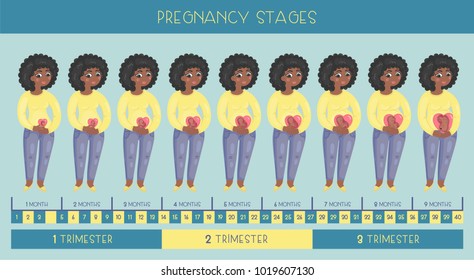 Sweet pregnant african american woman. The stages of pregnancy, the development of the embryo month by month.