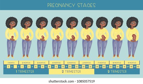 Sweet pregnant african american woman. The stages of pregnancy, the development of the embryo month by month.