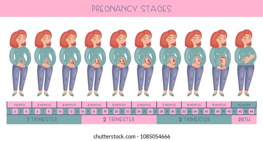 Sweet pregnant woman. The stages of pregnancy, the development of the embryo month by month.