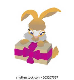 sweet rabbit on white background