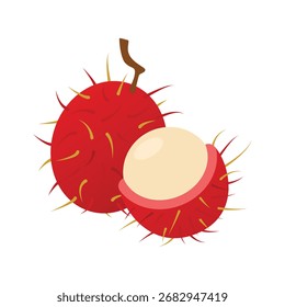 sweet rambutan fruit flat design element