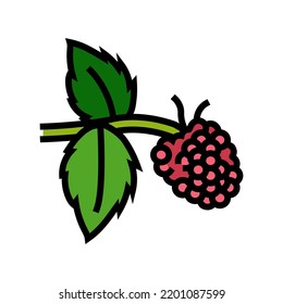 sweet raspberry fruit color icon vector. sweet raspberry fruit sign. isolated symbol illustration