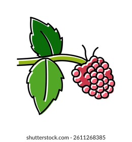 sweet raspberry fruit color icon vector. sweet raspberry fruit sign. isolated symbol illustration